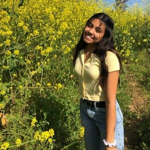 Meet your Posher, Zulemy